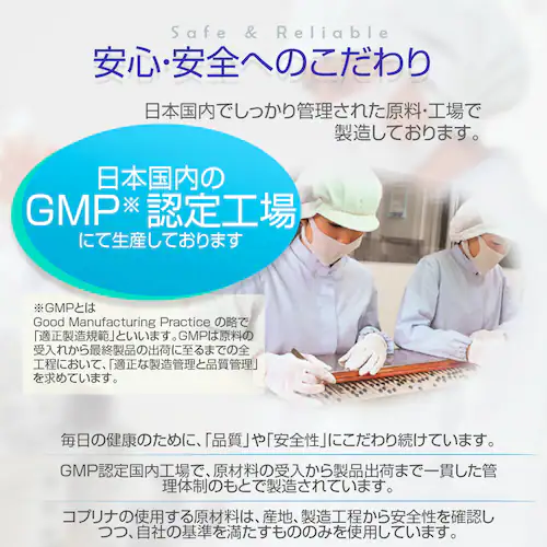 �R�v���i �S�EFe���t�_ 240�� 120����_10