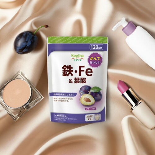 �R�v���i �S�EFe���t�_ 240�� 120����_12