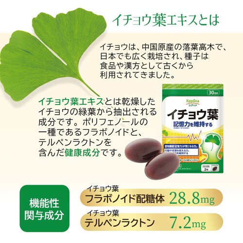 �R�v���i �L�����ێ����� �C�`���E�t[�@�\���\���H�i:�͏o�ԍ�G9] 60�� 30����_3