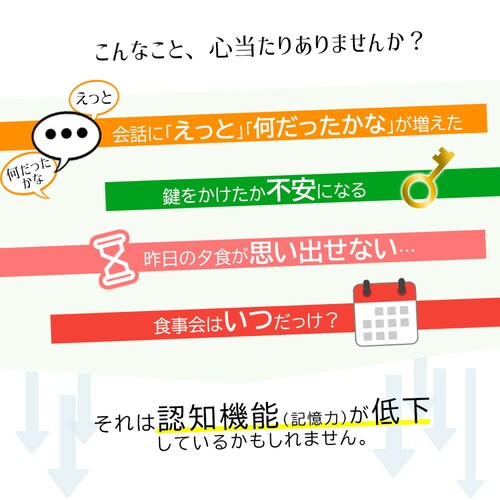 �R�v���i �L�����ێ����� �C�`���E�t[�@�\���\���H�i:�͏o�ԍ�G9] 60�� 30����_4