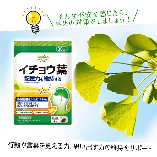 �R�v���i �L�����ێ����� �C�`���E�t[�@�\���\���H�i:�͏o�ԍ�G9] 60�� 30����_5