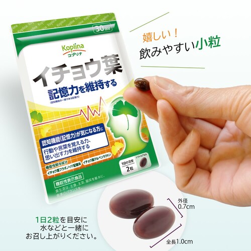 �R�v���i �L�����ێ����� �C�`���E�t[�@�\���\���H�i:�͏o�ԍ�G9] 60�� 30����_7