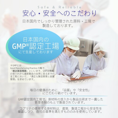 �R�v���i �L�����ێ����� �C�`���E�t[�@�\���\���H�i:�͏o�ԍ�G9] 60�� 30����_10