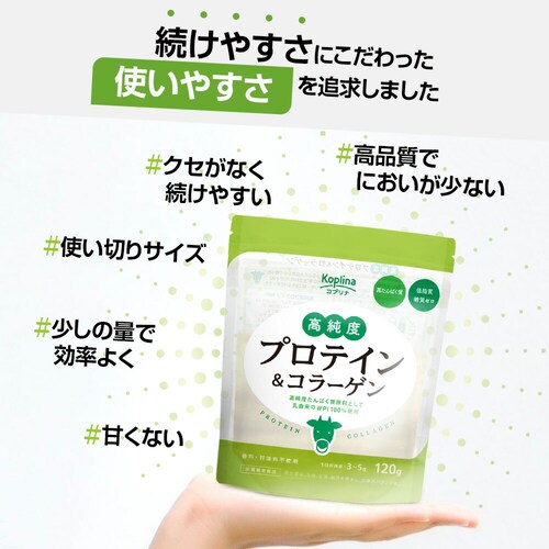 �R�v���i �����x�v���e�C�����R���[�Q�� 120g 1��_11