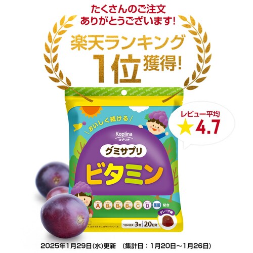 �R�v���i �O�~�T�v�� �r�^�~�� 60�� 20����_2