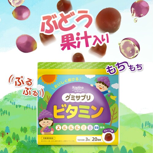 �R�v���i �O�~�T�v�� �r�^�~�� 60�� 20����_3