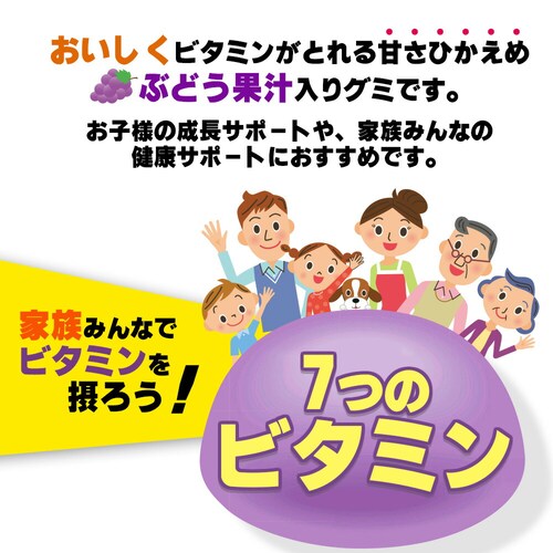 �R�v���i �O�~�T�v�� �r�^�~�� 60�� 20����_4