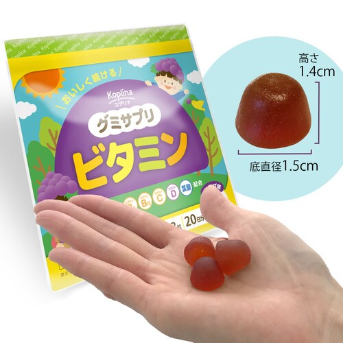 �R�v���i �O�~�T�v�� �r�^�~�� 60�� 20����_10