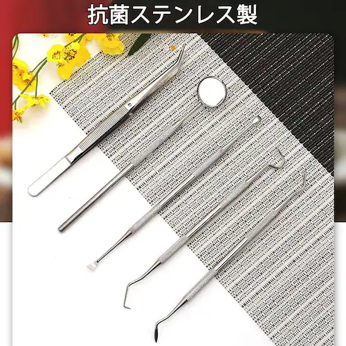 ���Ύ�� 5�{�Z�b�g �P�[�X�t�� �X�P�[���[ ���C �H�ׂ��� ���� �p�� �f���^�� �I�[���� �P�A ���o �q�� �c�[�� ���� ���̓_�� ���j�Ƃ� �X�e�����X��_3