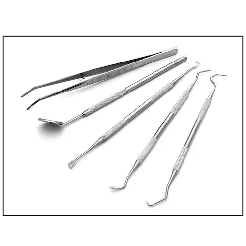 ���Ύ�� 5�{�Z�b�g �P�[�X�t�� �X�P�[���[ ���C �H�ׂ��� ���� �p�� �f���^�� �I�[���� �P�A ���o �q�� �c�[�� ���� ���̓_�� ���j�Ƃ� �X�e�����X��_11