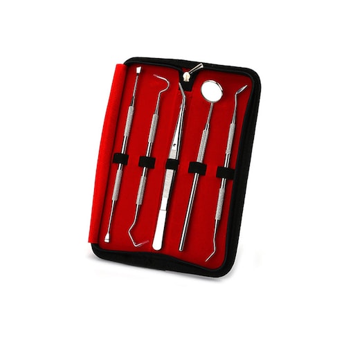 ���Ύ�� 5�{�Z�b�g �P�[�X�t�� �X�P�[���[ ���C �H�ׂ��� ���� �p�� �f���^�� �I�[���� �P�A ���o �q�� �c�[�� ���� ���̓_�� ���j�Ƃ� �X�e�����X��_13