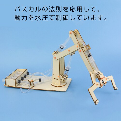 ������ ���{�b�g�A�[�� �H��L�b�g �Ȋw ���w�� �q�� �������� ���� ���{�b�g�n���h ���R���� �ċx�� �~�x�� ���� �Ȋw �}�H �v���[���g �m��ߋ� ���m�Â���_2