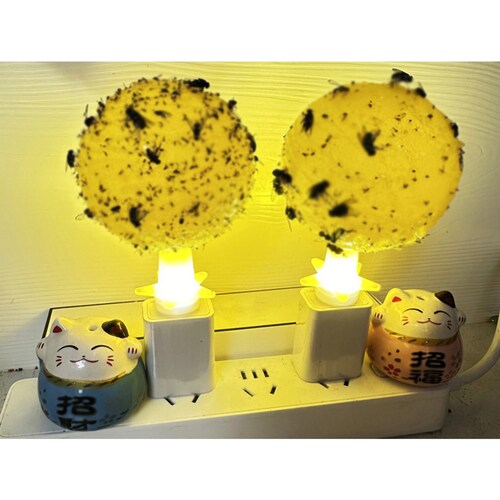 �R�o�G��� 5�Z�b�g LED���� �S���{�[�� ���L �É� �� �g���b�v �R�o�G �� �n�G �U�� �ߊl �쏜 �Q���΍� �ȒP�ݒu �����p ���r���O ������ USB���d ������_7