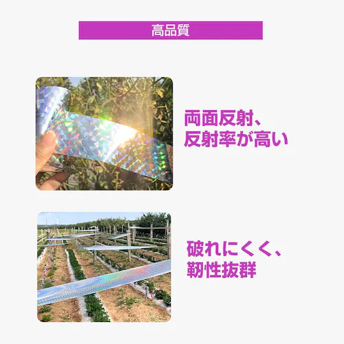 ���悯 �z���O���� �e�[�v 50m 2�� �V���o�[ ���P�x ���z�� ���� ���� ���{�� �� �X�Y�� �J���X �Ƃ�悯 �O�b�Y �A�C�e�� �h���΍� �x�����_ �� �� �c��� �_��_4