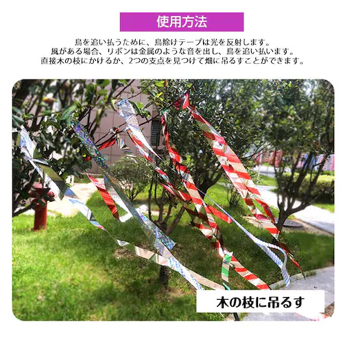 ���悯 �z���O���� �e�[�v 50m 2�� �V���o�[ ���P�x ���z�� ���� ���� ���{�� �� �X�Y�� �J���X �Ƃ�悯 �O�b�Y �A�C�e�� �h���΍� �x�����_ �� �� �c��� �_��_5