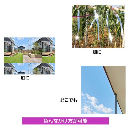 ���悯 �z���O���� �e�[�v 50m 2�� �V���o�[ ���P�x ���z�� ���� ���� ���{�� �� �X�Y�� �J���X �Ƃ�悯 �O�b�Y �A�C�e�� �h���΍� �x�����_ �� �� �c��� �_��_6