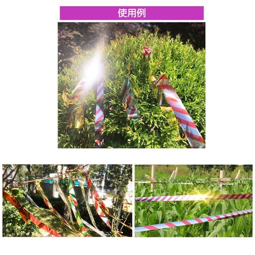 ���悯 �z���O���� �e�[�v 50m 2�� �V���o�[ ���P�x ���z�� ���� ���� ���{�� �� �X�Y�� �J���X �Ƃ�悯 �O�b�Y �A�C�e�� �h���΍� �x�����_ �� �� �c��� �_��_7