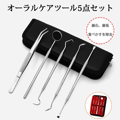歯石取り 5本セット ケース付き 消毒用パッケージ付き_1