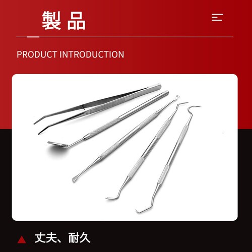 歯石取り 5本セット ケース付き 消毒用パッケージ付き_6