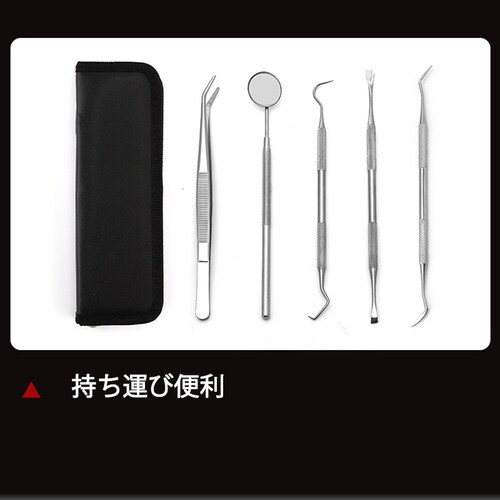 歯石取り 5本セット ケース付き 消毒用パッケージ付き_9