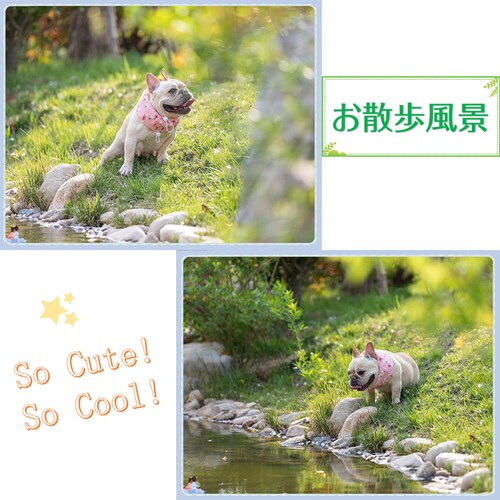 �y�b�g ������ S �� �L �N�[���l�b�N �ۗ�ܕt�� �� �Ђ��� �⊴ �l�b�N�N�[���[ �o���_�i ���� �M���� �ăo�e �΍� ��p �� ��₷ �T�C�Y���߉\ �U�� �� �A�E�g�h�A_2