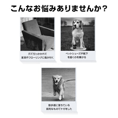 �h�b�O �u���b�N M �C�� ���� �ی� �V�[�� 48���� ���C �� ����~�� �����p�b�h �y�b�g ���� ����h�~ �V���R�� �h�� �t���[�����O �U�� ���� �E���Ȃ� �h�b�O�V���[�Y �V��_1