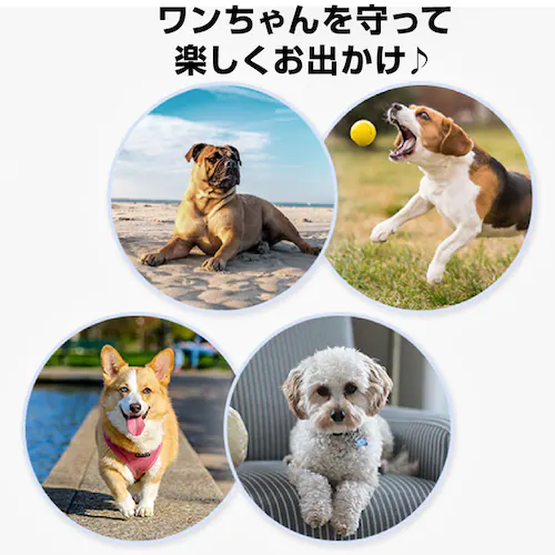 �h�b�O �u���b�N M �C�� ���� �ی� �V�[�� 48���� ���C �� ����~�� �����p�b�h �y�b�g ���� ����h�~ �V���R�� �h�� �t���[�����O �U�� ���� �E���Ȃ� �h�b�O�V���[�Y �V��_9