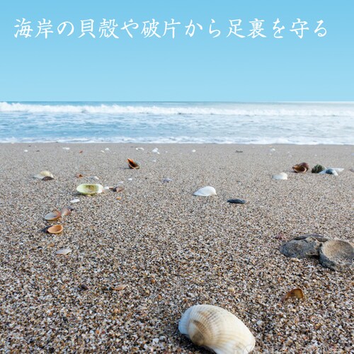 �}�����V���[�Y ���F 26.5cm ���f�B�[�X �����Y �L�b�Y �������p �V���m�[�P�����O�V���[�Y �A�N�A�V���[�Y �E�H�[�^�[�V���[�Y �C ���j �C ���K ��V�� �����C�菝������_1