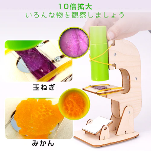 �H��L�b�g �~�j���������f�� DIY�L�b�g �g�ݗ��ĊȒP �e�q�ŐG�ꍇ�� �ώ@ �q�� �w�K�p �������� ���R���� �ċx�� �Ȋw ���� ���� ���� ���w�� ���� �w�Z_1