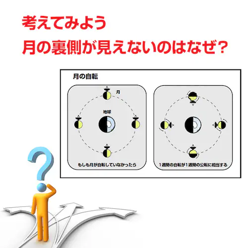 �O���V �g�ݗ��ăL�b�g �V�̖͌^ ���w�� ���w�� �q�� �H�� ���R���� �ċx�� �� �n�� ���z ���] ���] ���� �Ȋw �f�� �q�� �����^�� �v���[���g �m��ߋ�_12