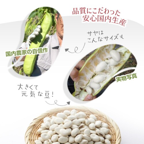 �R�v���i ���Y�Ȃ��܂ߒ� 3g x 30��_6