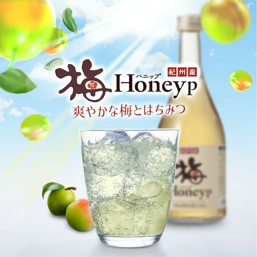 \クリアランス価格40%OFF/コプリナ 紀州産梅ハニップ 590g_14