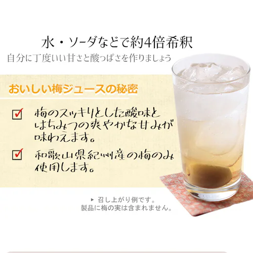 \クリアランス価格40%OFF/コプリナ 紀州産梅ハニップ 590g_15