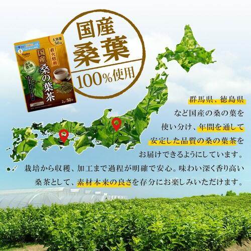 �R�v���i ���Y�K�̗t�� 2g x 50��_5