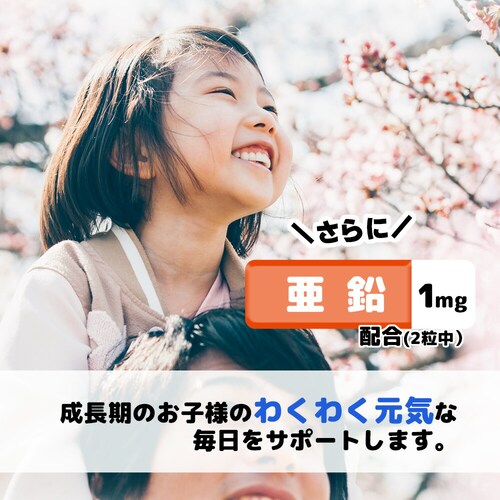 �R�v���i �O�~�T�v�� �r�^�~��C 40�� 20����_8