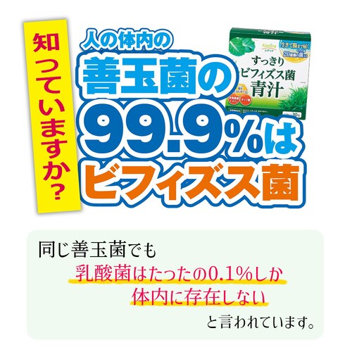 �R�v���i ��������r�t�B�Y�X�ې` 2.5g�~30�� 30����_5