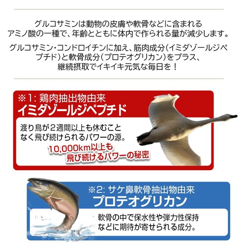 �R�v���i �O���R�T�~��EX 180�� 30����_3