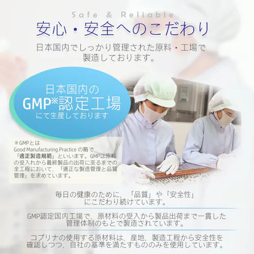 �R�v���i �O���R�T�~��EX 180�� 30����_9