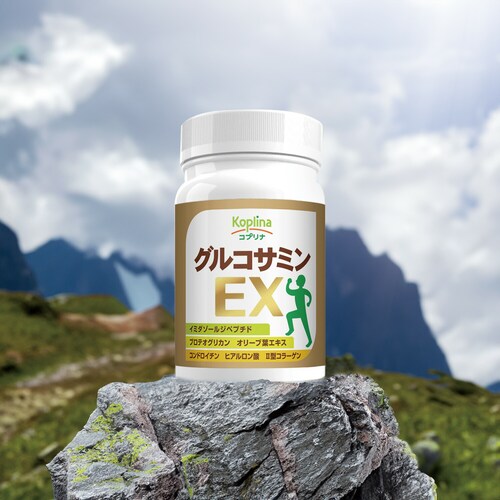 �R�v���i �O���R�T�~��EX 180�� 30����_11