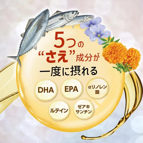 �R�v���i �I���K3&���e�C�� 90�� 30����_3