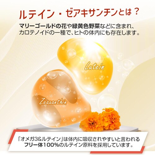 �R�v���i �I���K3&���e�C�� 90�� 30����_7