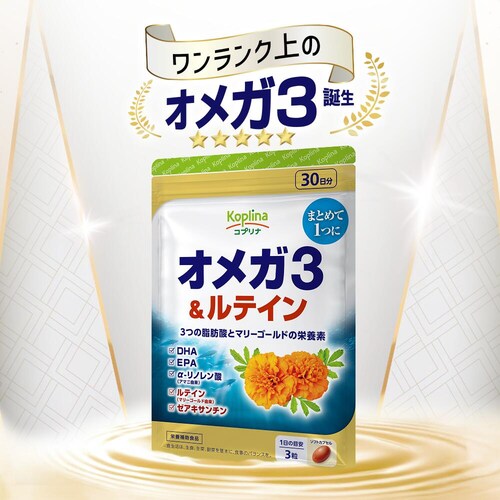 �R�v���i �I���K3&���e�C�� 90�� 30����_8