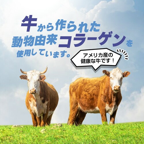 �R�v���i �����x���炳��R���[�Q�� 120g_5