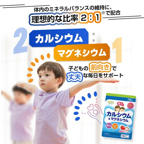 �R�v���i �e�q�ŃJ���V�E��&�}�O�l�V�E���E�SFe�E�r�^�~��D 90��_9