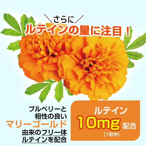 �R�v���i �u���[�x���[�����e�C�� 60�� 60����_5