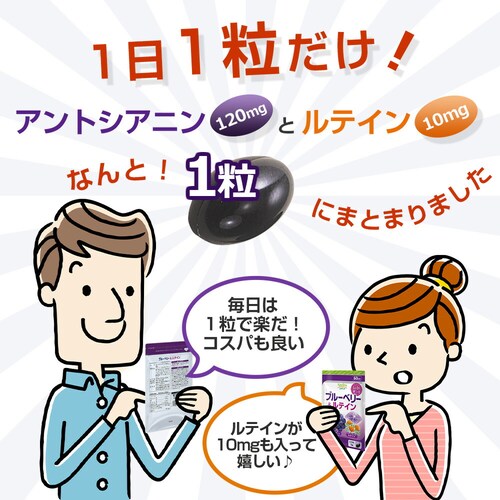 �R�v���i �u���[�x���[�����e�C�� 60�� 60����_6