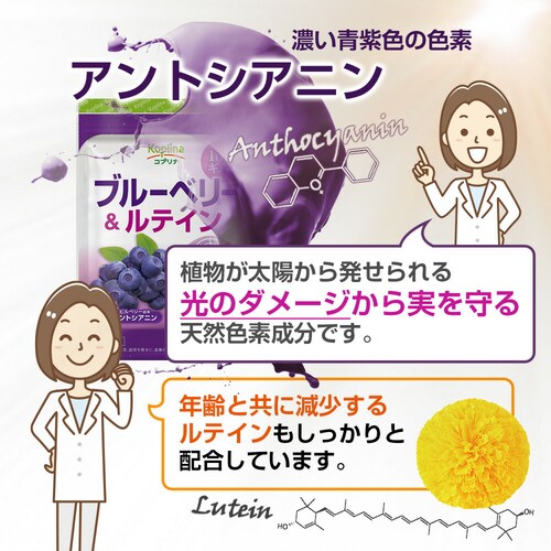 �R�v���i �u���[�x���[�����e�C�� 60�� 60����_7