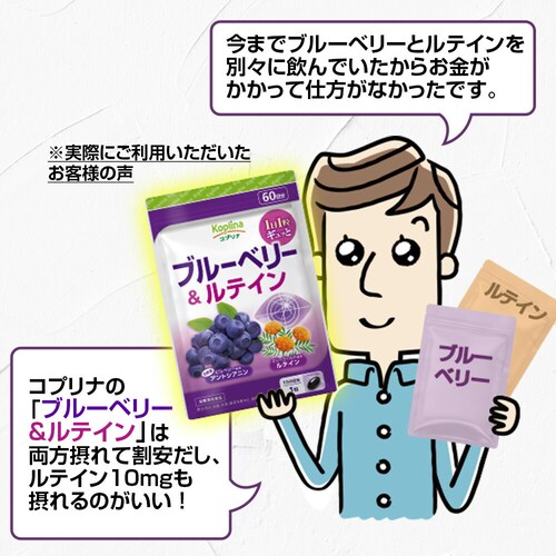 �R�v���i �u���[�x���[�����e�C�� 60�� 60����_8