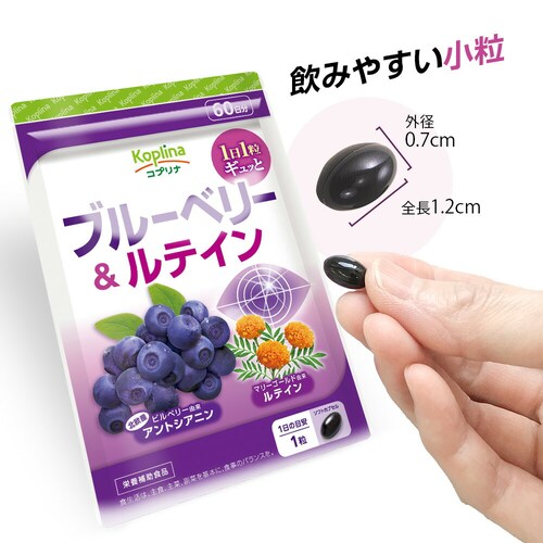 �R�v���i �u���[�x���[�����e�C�� 60�� 60����_9