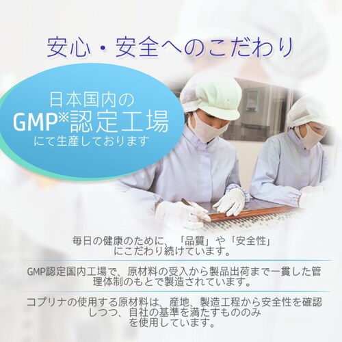 �R�v���i �u���[�x���[�����e�C�� 60�� 60����_10